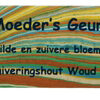 Zuiveringshout Woud 12 korte stokjes