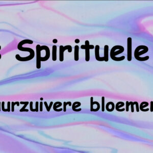 Bloemenstilte 24 lange stokjes