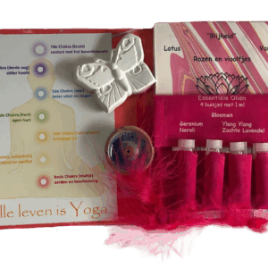 Thema Cadeauverpakking: All life is Yoga